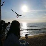 Profile Picture of Paula Wang (@paula.wang_kk) on Instagram