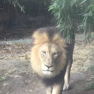 Pamela Zepf - Twitter Profile Picture of Pamela Zepf (@PamZepf) on Twitter