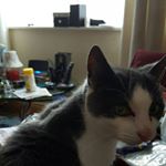 t g - Instagram Profile Picture of t g (@golding_tony) on Instagram