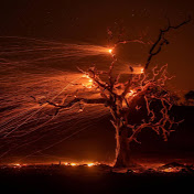 Carlos Pons - Youtube Profile Picture of Carlos Pons (@carlospons6784) on Youtube