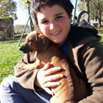 Profile Picture of Julian Valerio (@chulianva) on Instagram
