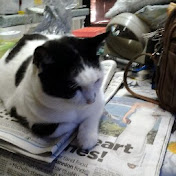 Profile Picture of Cedric Willis (@cedricwillis7120) on Youtube