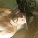 Profile Picture of Thomas Hurt (@thomas.hurt.1884) on Facebook