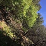 Profile Picture of Kelvin Jones (@kelvinjones1001) on Instagram