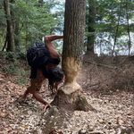 Profile Picture of John Custodio (@johncustodio_) on Instagram