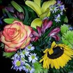Profile Picture of Aaron Reck (@aaronreck) on Instagram
