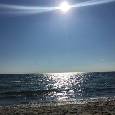 Profile Picture of Tracy Cano-Scribner (@TracyScribner) on Twitter