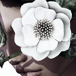 Profile Picture of Harper Rose ♡. (@harper rose ♡.) on Flickr