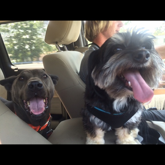 Profile Picture of Loren Harvey (@masonjar411) on Poshmark