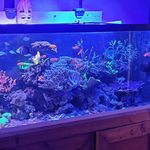 Profile Picture of Jason Brazier (@achilles_reef) on Instagram