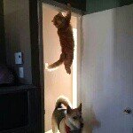 Profile Picture of Kevin Zarallo (@kevinzarallo) on Instagram