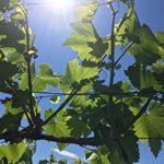 Profile Picture of Michael Tickner (@ticknermichael89) on Instagram