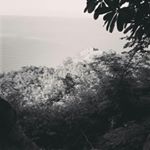 Profile Picture of Ahn Ji Yoon (@______ahn______) on Instagram