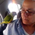 Profile Picture of Wilson Tavarez (@wilsontavarez1) on Instagram