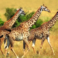 Profile Picture of Morgan Lowe (@morgan-lowe-15) on Quora