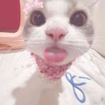 Profile Picture of Carl Hayley (@Carl-Hayley) on Facebook