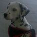 Profile Picture of Larry Ulmer (@larry5319) on Pinterest