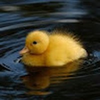 Profile Picture of George Woolf (@george-woolf-1) on Quora