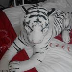 Profile Picture of Alison Richards (@alison69richards) on Instagram