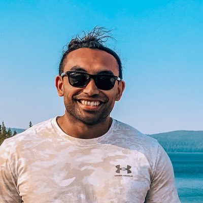 Profile Picture of David Narayan (@kawikados) on Twitter