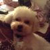 Profile Picture of Janice Liguori (@Janice-Liguori) on Facebook