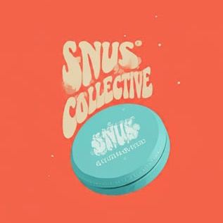 Profile Picture of SNUS COLLECTIVE 🇬🇪 (@snuscollective1) on Tiktok