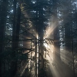 Profile Picture of Rick & Nancy Harris (@Rick & Nancy Harris) on Flickr