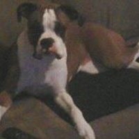 Profile Picture of Sherri Pence (@sherri-pence) on Quora