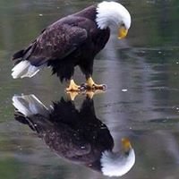 Profile Picture of Danilo Viana (@danilo.viana.79219) on Myspace