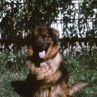 Profile Picture of Jerry Weber (@jerry-weber) on Quora