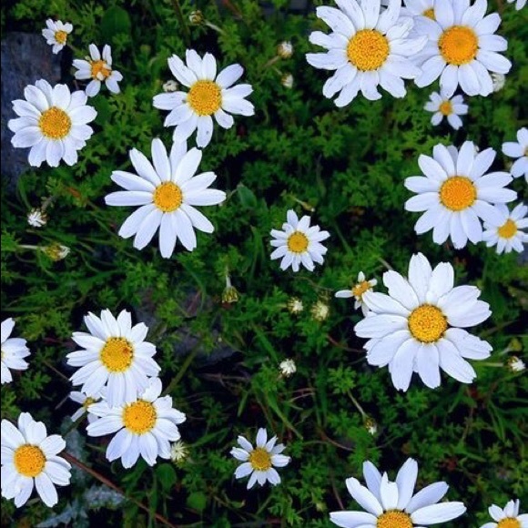 Karaygean Jacobs - Poshmark Profile Picture of Karaygean Jacobs (@karayjacobs) on Poshmark