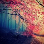 Profile Picture of Karthik Pillai (@jason_1161) on Instagram