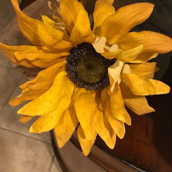 Profile Picture of Laura Hustoles (@hustletoes) on Poshmark