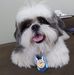 Profile Picture of Noah Tavares (@noah.tavares.3762) on Facebook