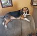 Profile Picture of Roger Prentice (@roger.prentice.370) on Facebook