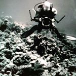 Profile Picture of Dan Bayley (@daniel.bayley) on Instagram