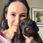 Profile Picture of Sardisparklabradoodles (@sardisparklabradoodles) on Instagram