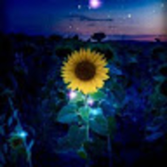 Profile Picture of Pamela Carroll (@sucker655) on Poshmark