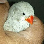 Profile Picture of Jonathan Pizarro (@pizarrojonathan) on Instagram