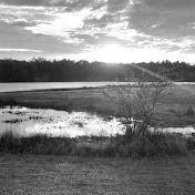 Kevin Riney - Youtube Profile Picture of Kevin Riney (@kevinriney4303) on Youtube