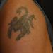 Profile Picture of David Hasko (@haskodavid07) on Pinterest