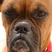 Profile Picture of Jason Martens (@techrono) on Youtube