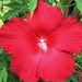 Profile Picture of Howard Ratcliffe (@howardr1107) on Pinterest