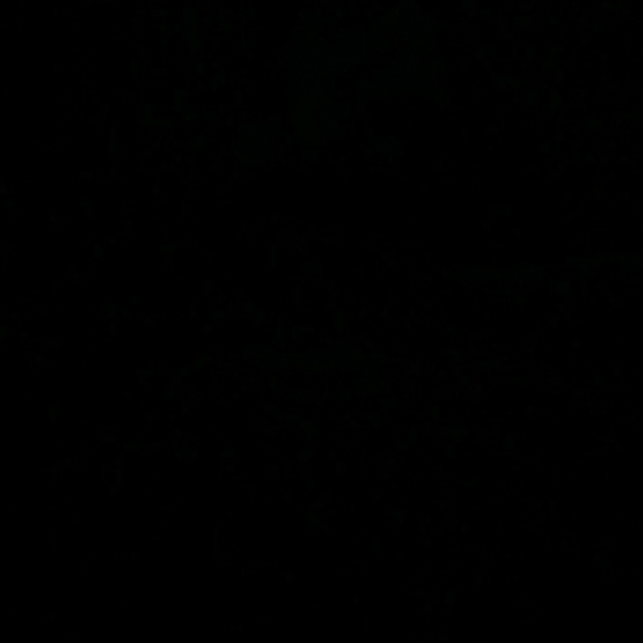 Profile Picture of Miranda Hodge (@miranda22284) on Poshmark