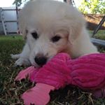 Profile Picture of Jordan (@j_heinze30) on Instagram