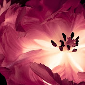 Profile Picture of Aysheh Al-taslaq (@ayshehal-taslaq6561) on Youtube