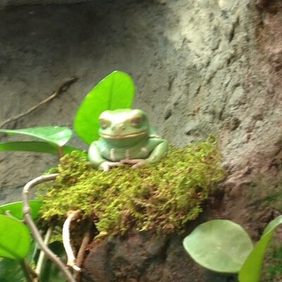 Profile Picture of Bradley  Grider (@ukeightbound11) on Twitter