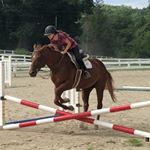 Profile Picture of Leah Abrams (@leahequestrian23) on Instagram