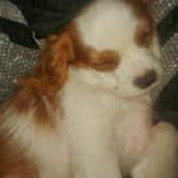 Profile Picture of Patrick Geaney (@patrick-geaney-1) on Quora