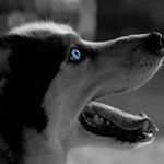 Profile Picture of Andrew Pilecki (@apilecki1984) on Instagram